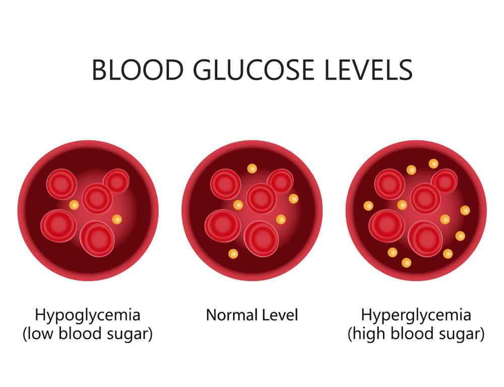 SLU-PP-332 Glucose regulation | Shaanxi BLOOM Tech Co., Ltd SLU-PP-332 Glucose regulation | Shaanxi BLOOM Tech Co., Ltd