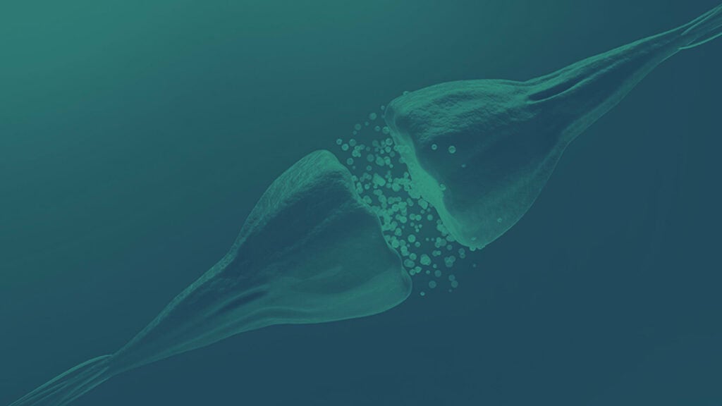 Neurodiagnostic Week 2022: Celebrating SpecialtyCare’s EEG and TCD Technologists 2 HappyNeuro2022 Blog 1