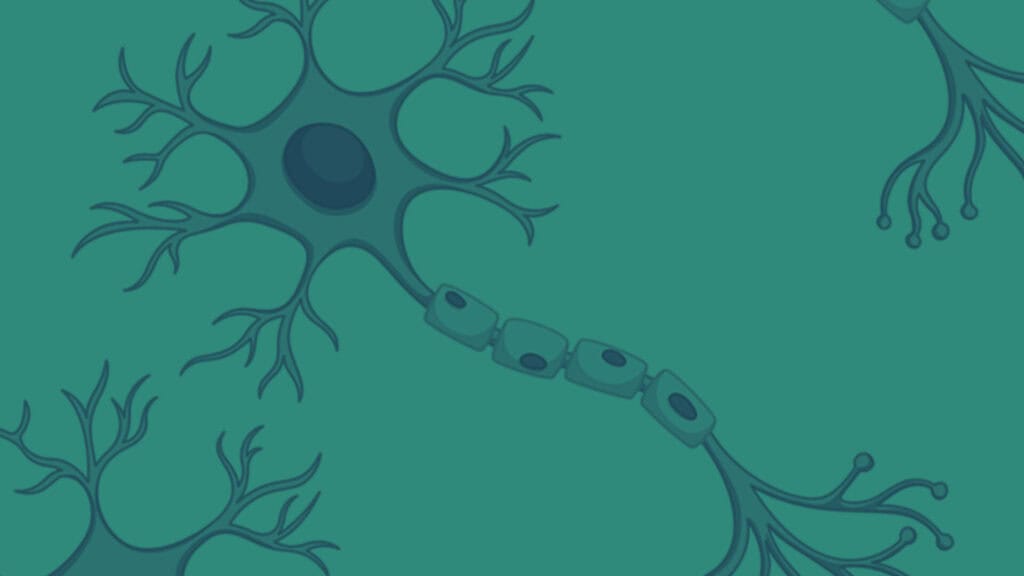 Surgical Neurophysiologist Job Opening in Jacksonville, FL 2 IONMCHar2 Blog 2