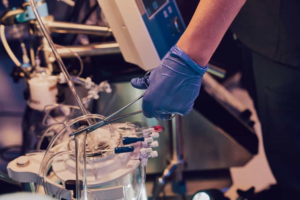 12 essential NRP or normothermic regional perfusion FAQ 2 NRP Safety and Ethics